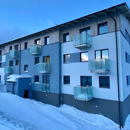 Loučná pod Klínovcem Apartment Petra Klinovec מראה חיצוני תמונה