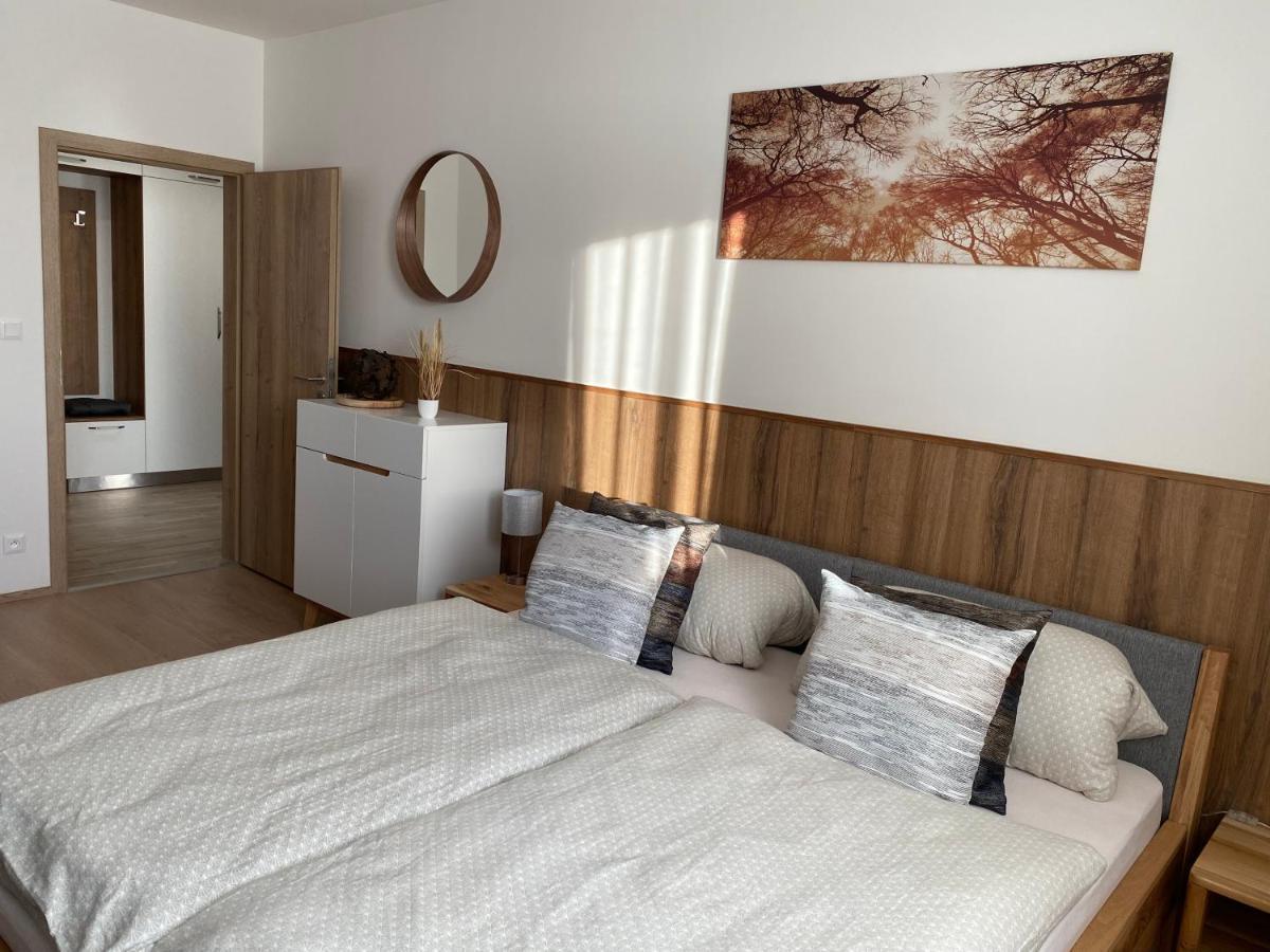 Loučná pod Klínovcem Apartment Petra Klinovec מראה חיצוני תמונה